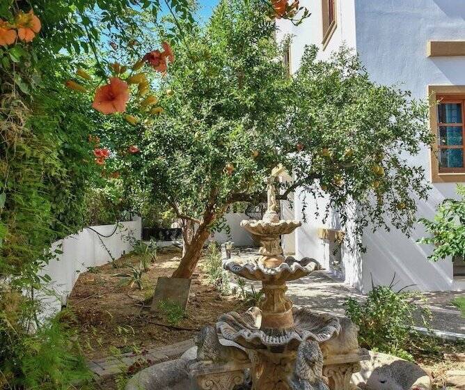 Eva Studios & Apartments