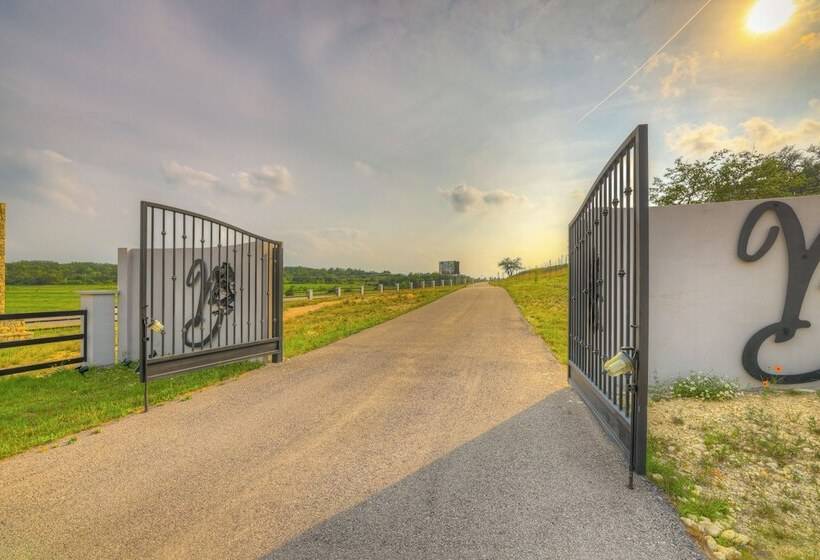 The Bentley Hotel   Beatles Room   Hill Country View