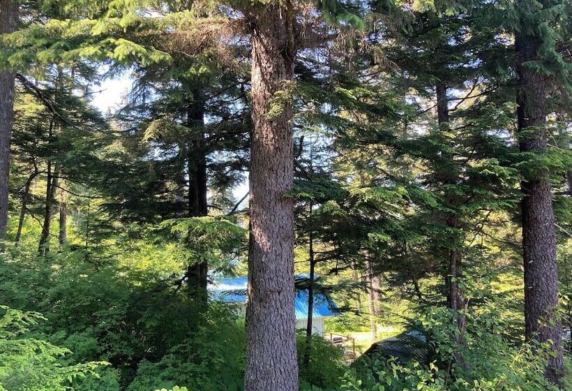 فندق Beachroadhouse