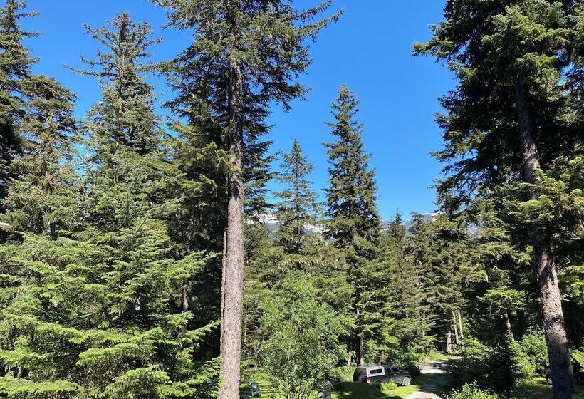 فندق Beachroadhouse