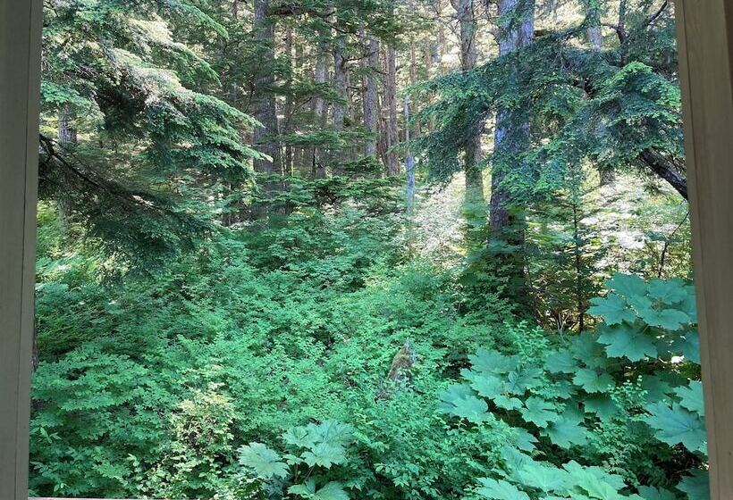 فندق Beachroadhouse