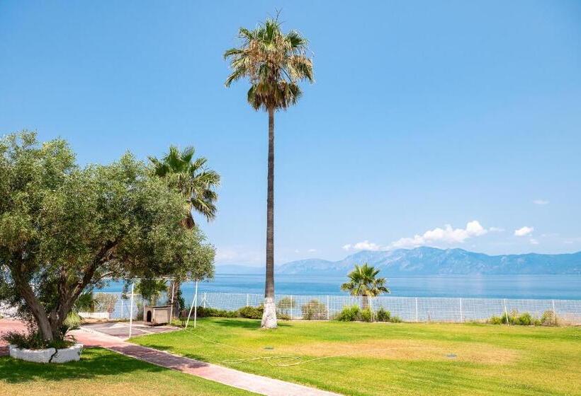 ホテル Blue Marine Village