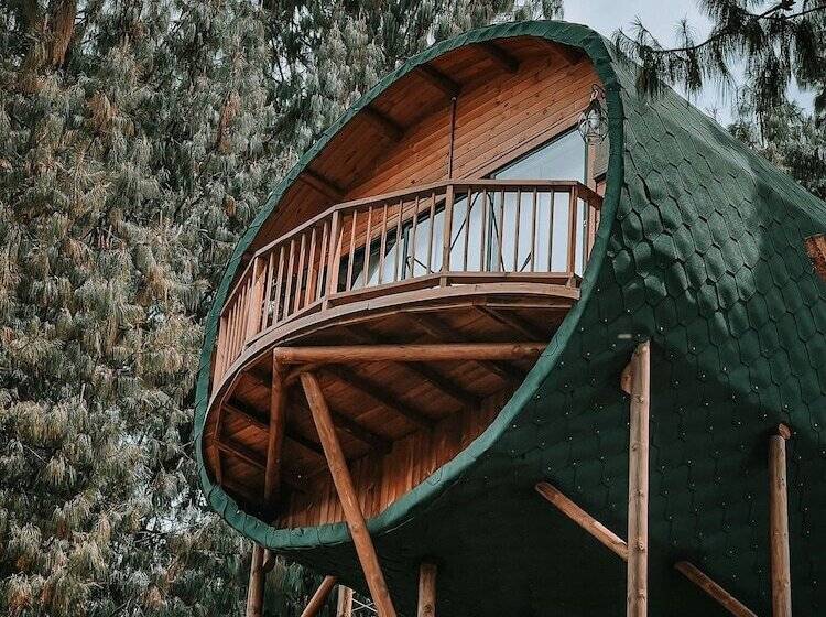 בית מלון כפרי Costa Azul Ecolodge