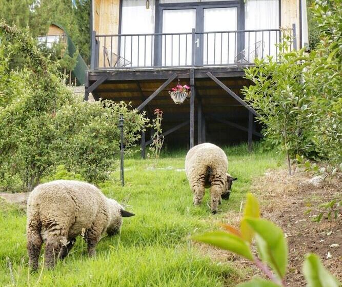 בית מלון כפרי Costa Azul Ecolodge