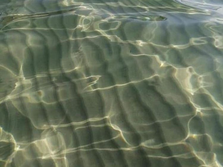 酒店 Mobile Home Mia