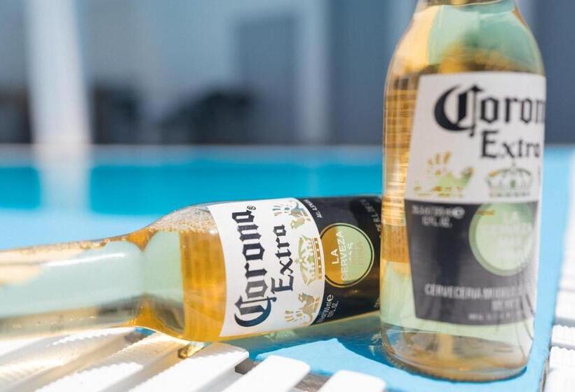 فندق Dodomar Selection