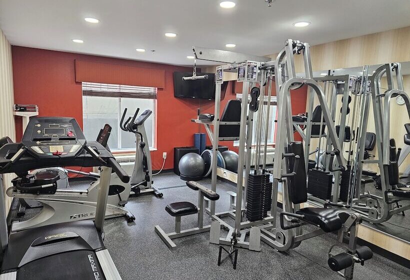 酒店 Express Inn Leesville Ft Johnson, Surestay Collection By Bw