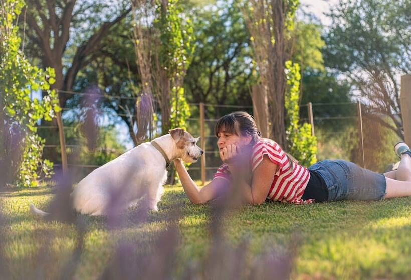Отель Loma Puskana Hostería