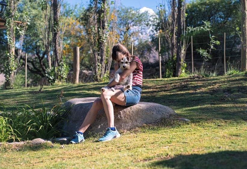 Отель Loma Puskana Hostería