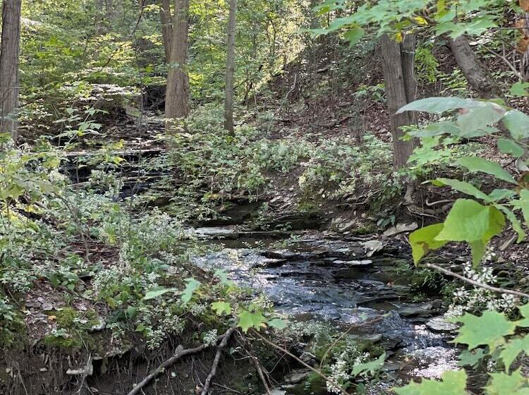 בית מלון כפרי Naturluxe & Stars