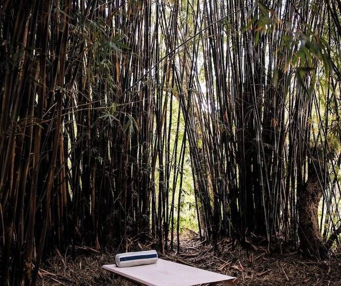 Отель Posada Mbarete