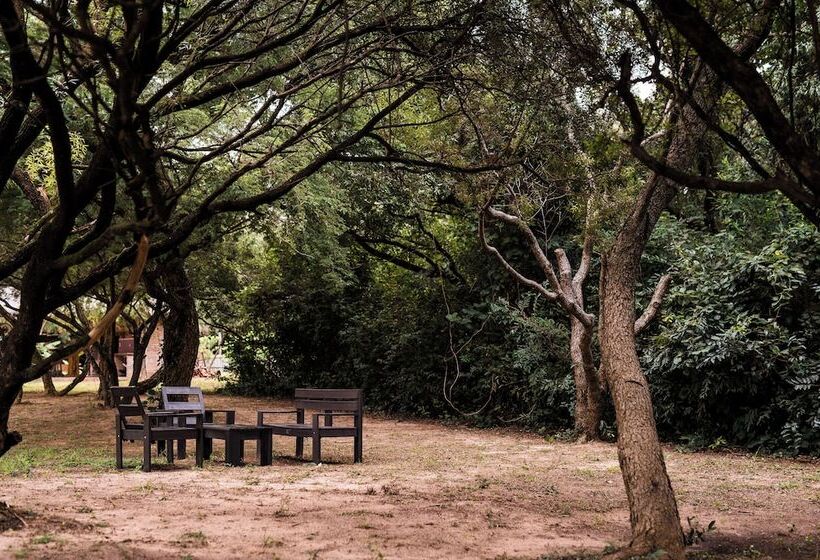 Отель Posada Mbarete