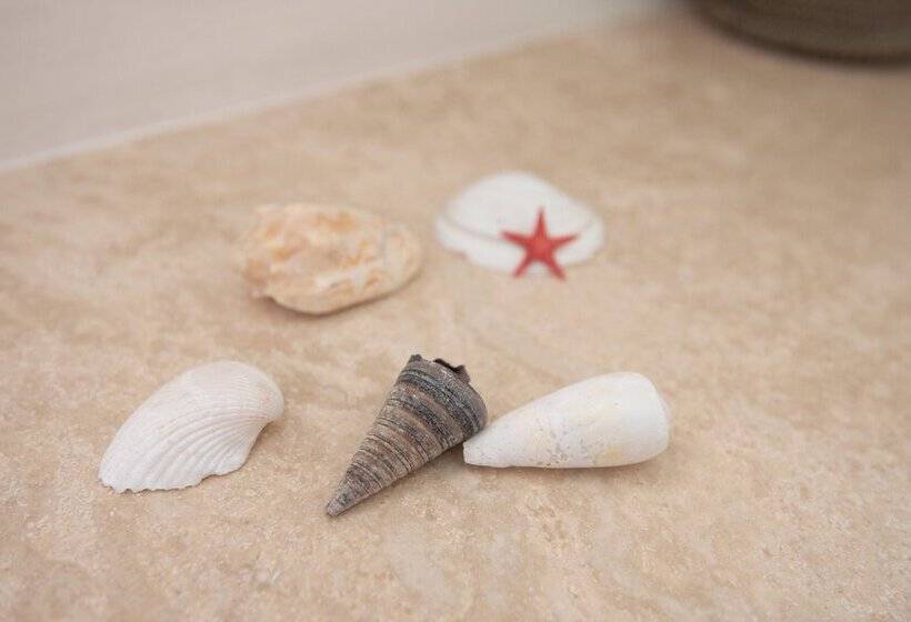 Сельский отель Agriturismo Campo All Olmo