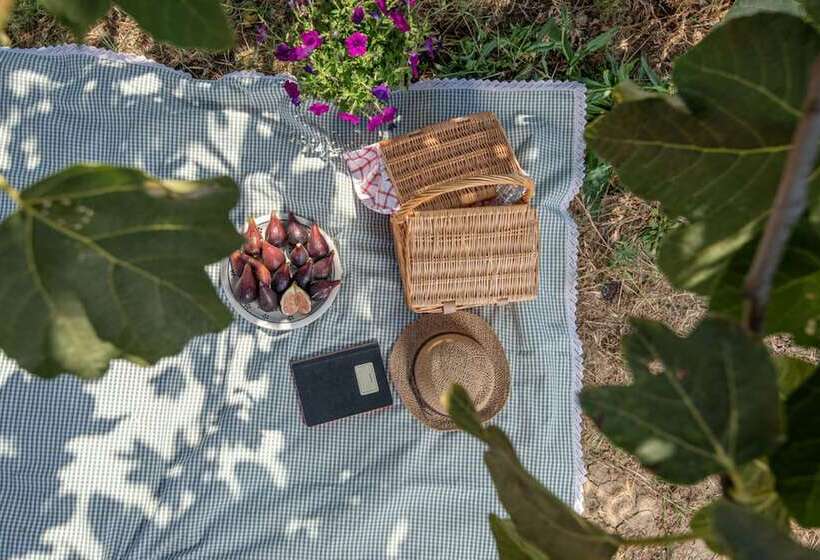 Сельский отель Agriturismo Campo All Olmo