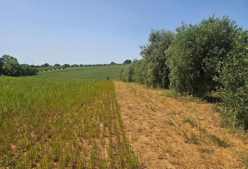 هتل روستایی Agriturismo Il Migliarino