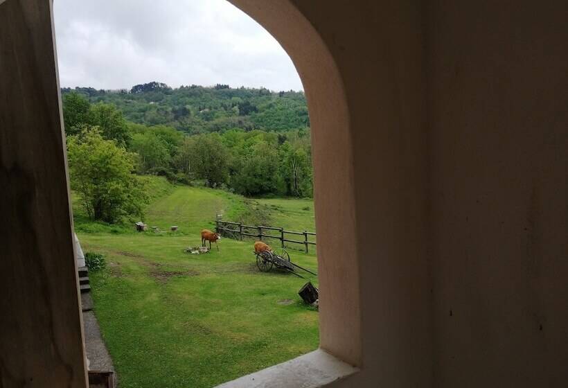 田舎風ホテル La Debbia Ranch