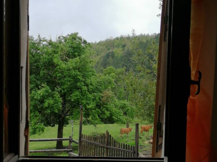 田舎風ホテル La Debbia Ranch