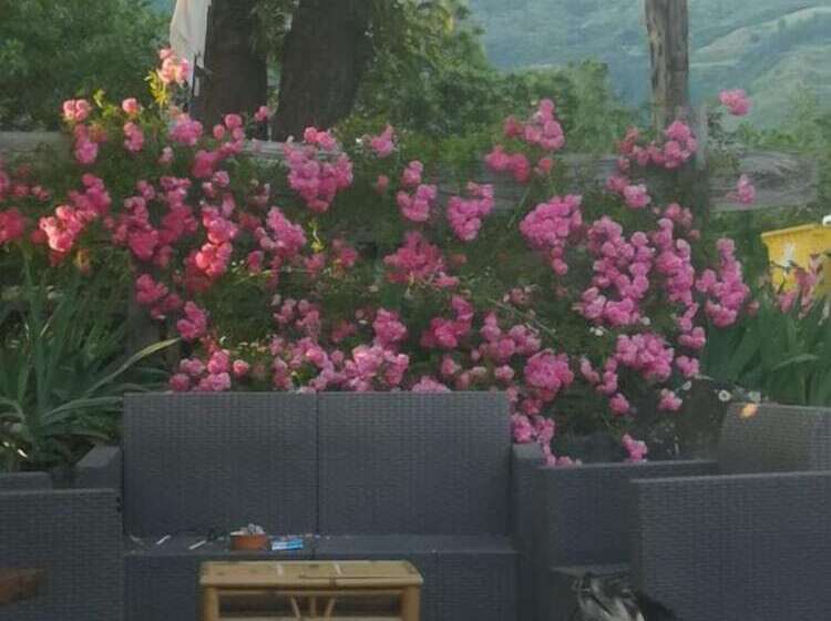 田舎風ホテル La Debbia Ranch