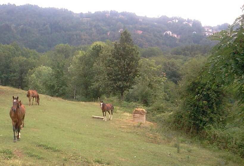 田舎風ホテル La Debbia Ranch