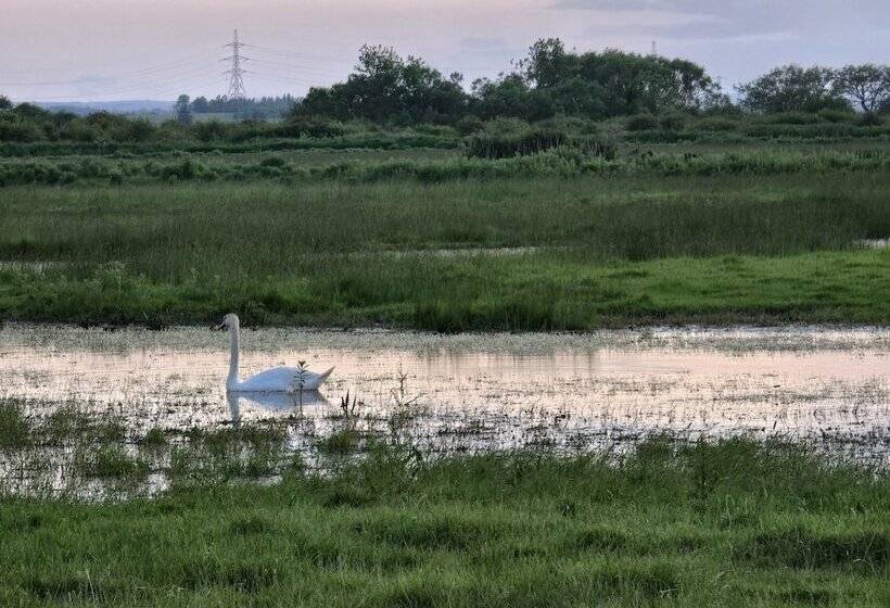 Отель Stunning Brand New 2024 Sunset Lodge, Whitstable