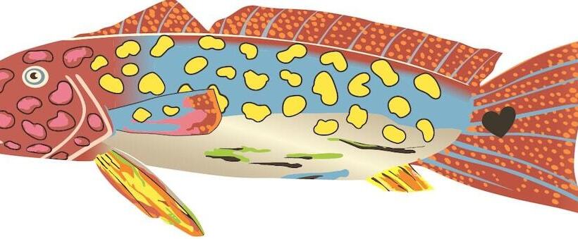 Отель The Poco Loco Lodge