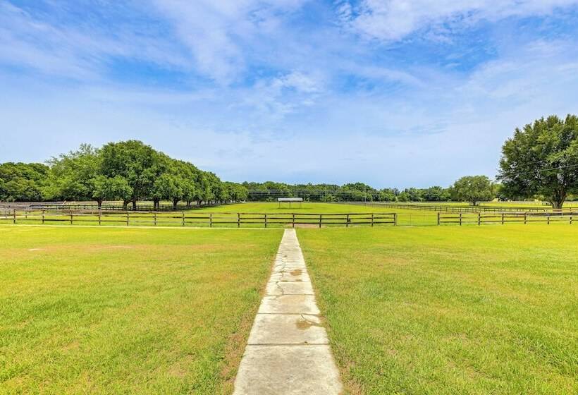 Idyllic Anthony Home: Riding Arena W/ Mirror Wall!