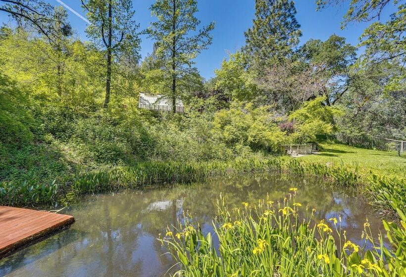 Idyllic Whitmore Retreat W/ On Site Pond!