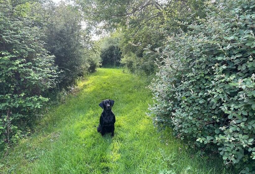 Lovely 1 Bed Cottage In Mendlesham Green