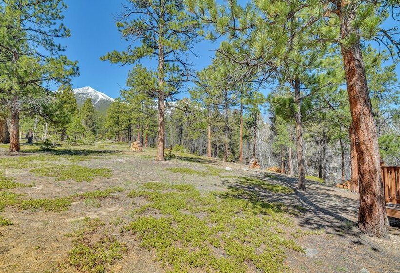 Mccall Creekside Cabin  Secluded Buena Vista Gem!