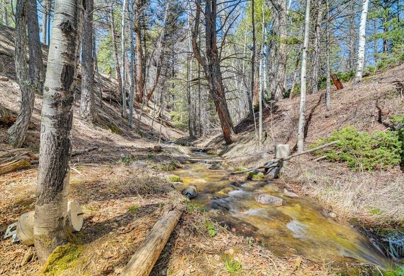 Mccall Creekside Cabin  Secluded Buena Vista Gem!