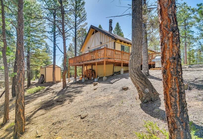 Mccall Creekside Cabin  Secluded Buena Vista Gem!