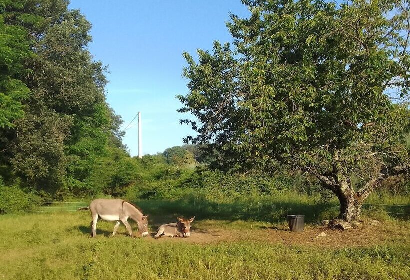 פנסיון Les Favouilles