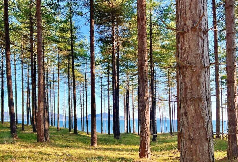 إقامة Charming 3 Bed Townhouse Near Llanddwyn Beach