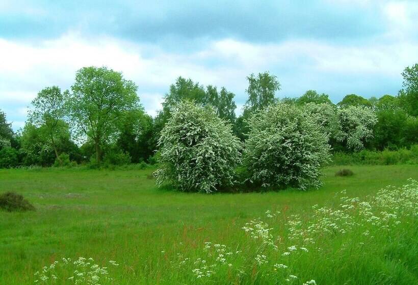 Резиденция Tranquil Elm Lodge Escape In Canterbury