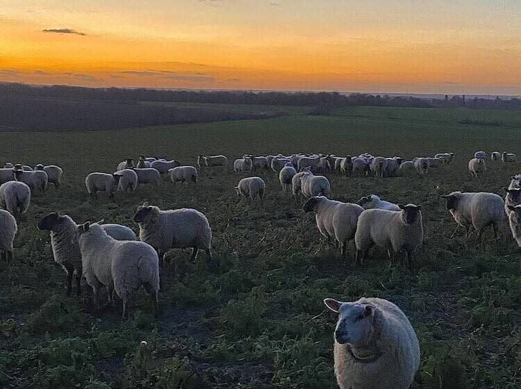 Резиденция Tranquil Elm Lodge Escape In Canterbury