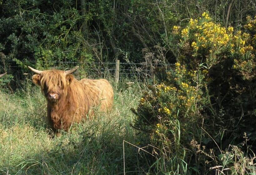 Резиденция Tranquil Elm Lodge Escape In Canterbury
