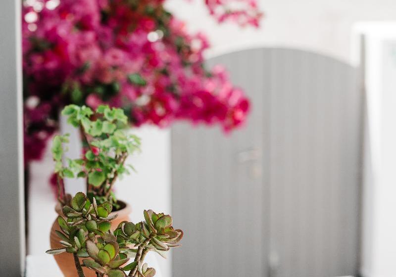 Santorini Style Rooms