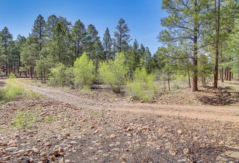 Deck & Atv Trail Access: Quiet Cabin In Show Low