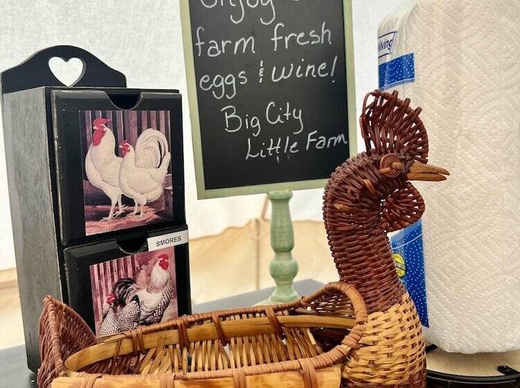 Stunning 1 Bed Glamping Tent In Cleveland