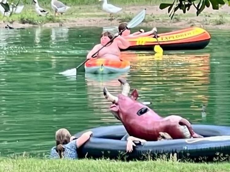 Stunning 1 Bed Glamping Tent In Cleveland