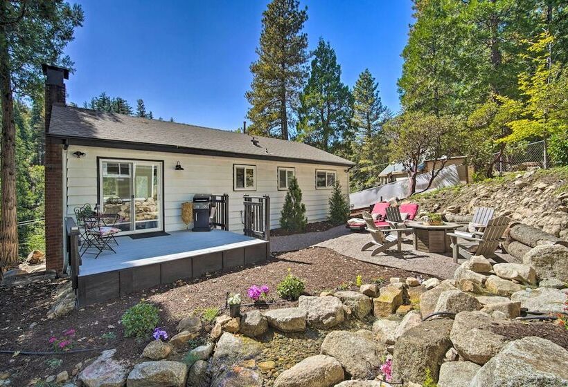 Tree Lined Twin Peaks Cottage W/ Custom Stream