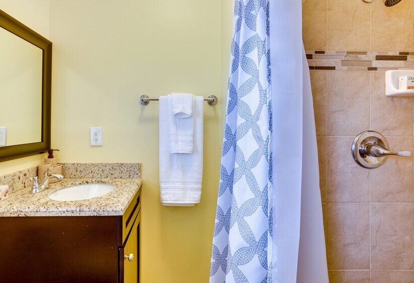 Pool & Screened In Patio: Tropical Florida Abode