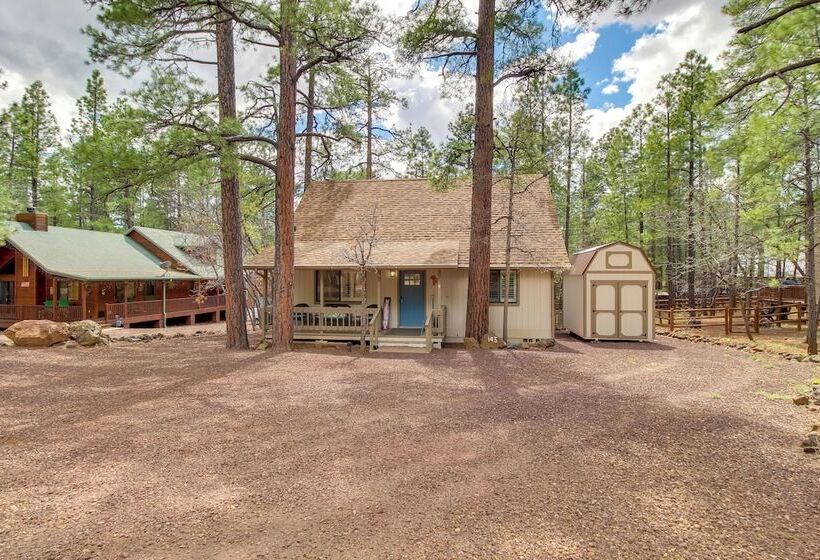 Updated Pinetop Home: 5 Mi To Woodland Lake Park!