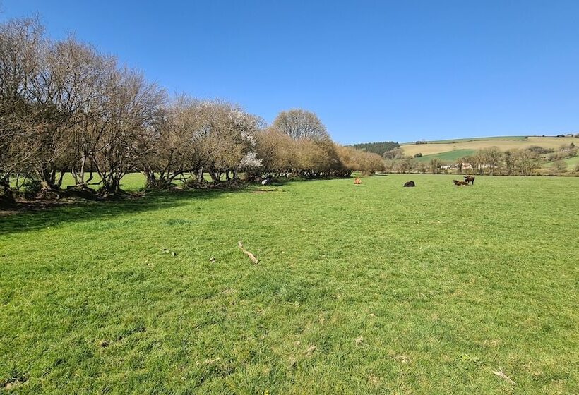 Viking Sleeping Barrel