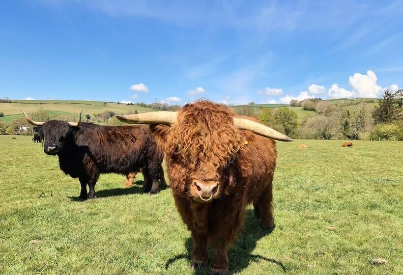 Viking Sleeping Barrel