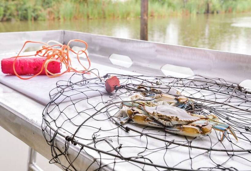 Dularge Copper Landing    Steps To Falgout Marina