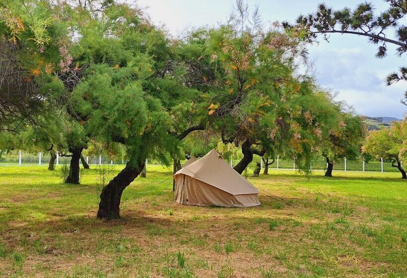 فندق Bearsu Nature Almoxarife