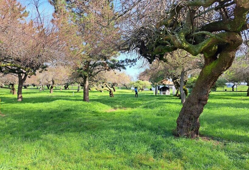 فندق Bearsu Nature Almoxarife