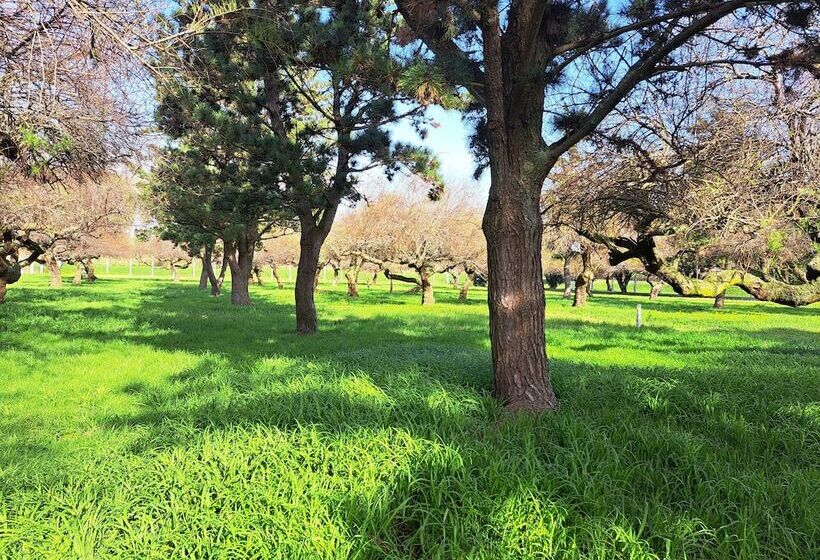 فندق Bearsu Nature Almoxarife