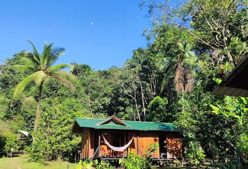 هتل Ecolodge El Almejal